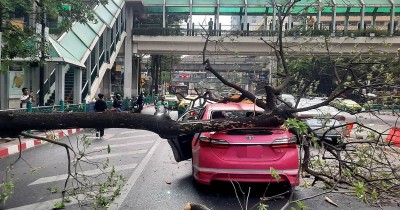 ต้นไม้ล้มทับรถ ใครรับผิดชอบ?