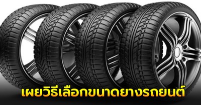 เผยวิธีเลือกขนาดยางรถยนต์ยังไง? ให้เหมาะกับรถของคุณมากที่สุด