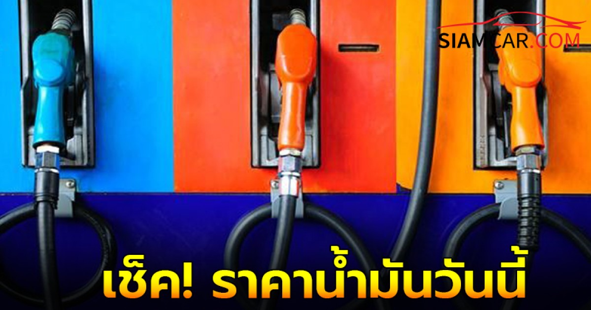 เช็ค! ราคาน้ำมันวันนี้  19 พ.ย. 67 อัปเดตล่าสุด จาก ปตท.บางจาก และ เชลล์